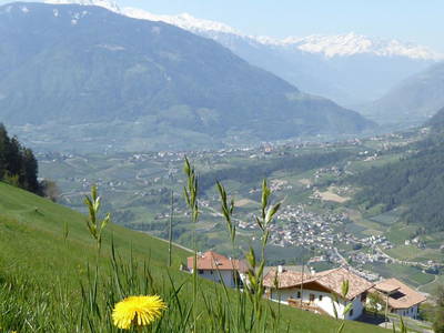 Bild 21 aus  Ederhof