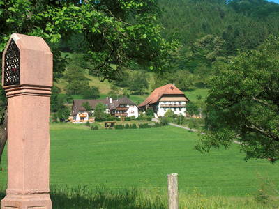 Bild 17 aus  Kempfenhof