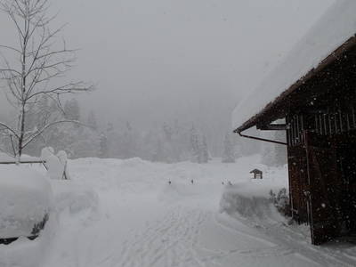Bild 5 aus  Landhaus am Fellhorn