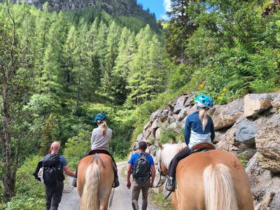 Bild 7 aus  Pferdehof Toml