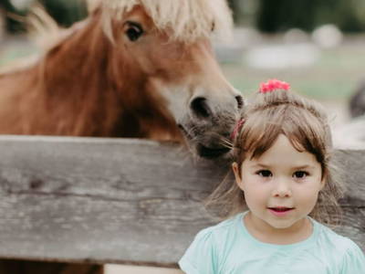 Bild 81 aus  Biohof Greflgut