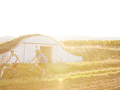 Bild 65 aus  BioWeingut Hauerhof 99