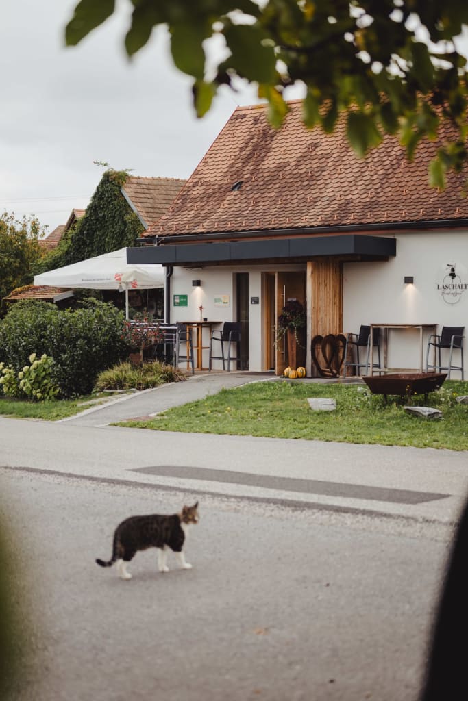 Biohofgut Laschalt