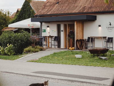 Bild 2 aus  Biohofgut Laschalt