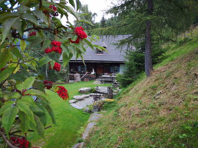 Bild 33 aus  Größingalm