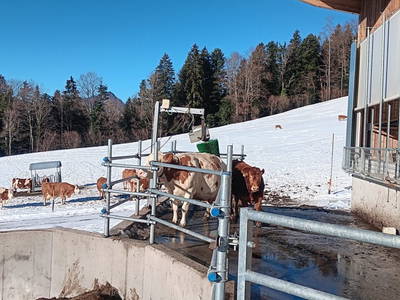 Bild 57 aus  Ferienhaus Untergrünweg