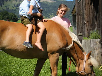 Bild 29 aus  Haus Bergquell mit Pferdestall