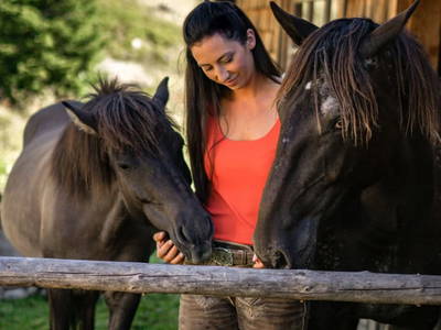 Bild 106 aus  Sonnenchalet im Salzburger Lungau