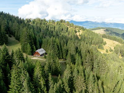 Bild 241 aus  Bischofhütten