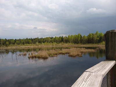 Bild 184 aus  Zehentnerhof