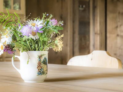 Bild 58 aus  Eseihütte