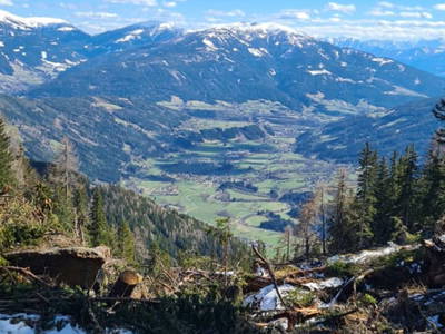 Bild 48 aus  Almferienhaus Truskaller