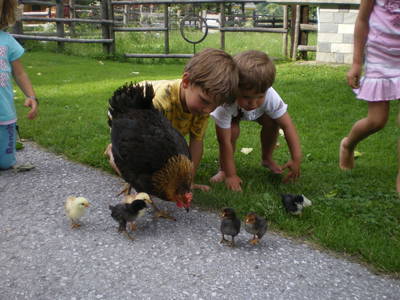 Bild 44 aus  BIO Ferienbauernhof STUBNERBAUER