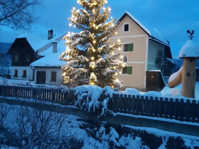 Bild 100 aus  Schoberhof