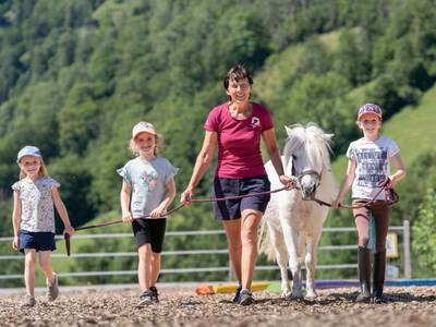 Bild 173 aus  Bio Bauernhof Tobhartbauer