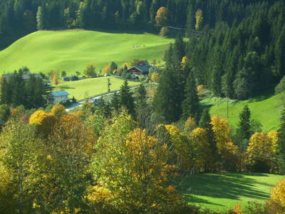 Bild 61 aus  Biobauernhof Windbachgut - Privatzimmer