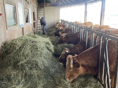 Bild 4 aus  Seewaldhof