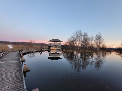 Bild 9 aus  Bauernhof Behl