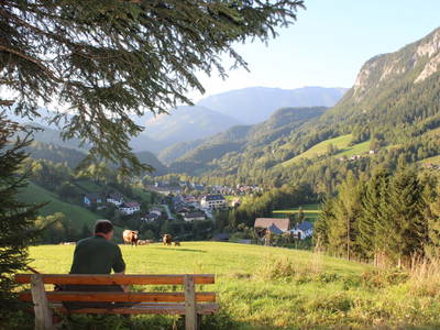 Bild 18 aus  Stückler - Hütte