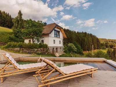 Bild 7 aus  Die Saualmleitn