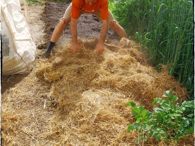 Bild 27 aus  Landhof Holzer