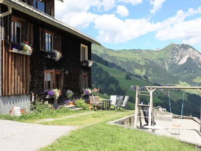 Bild 32 aus  Panoramahof Nigsch