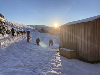 Bild 45 aus Spitalalm