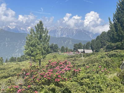 Bild 105 aus  Tobadillerhof Kinderbauernhof Pitztal Tirol