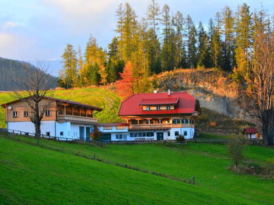 Bild 6 aus  Greithbauer Appartments