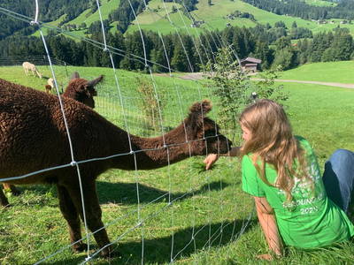 Bild 7 aus  Grillinghof