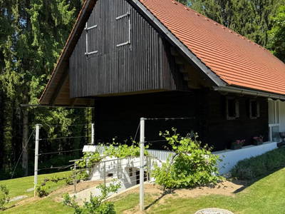 Bild 111 aus Muchitsch-Krispel