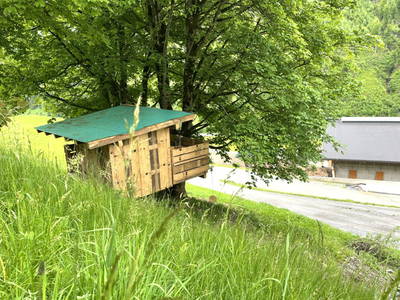 Bild 14 aus Vorderbichlhof