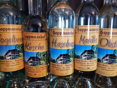 Bild 46 aus  Ferienhaus Marias Hoamatl