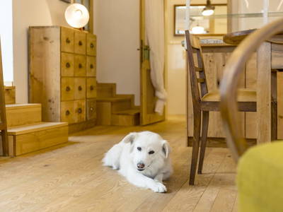 Bild 48 aus  Gästehaus Greisslerei Gösing 