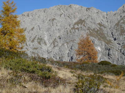 Bild 191 aus  Untererschbaum