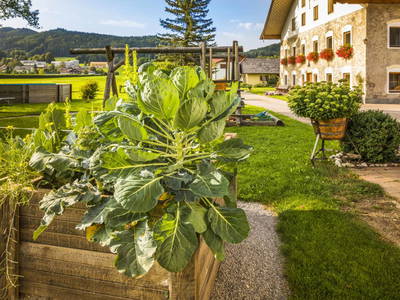 Bild 23 aus  Bio Bauernhof Paulbauer