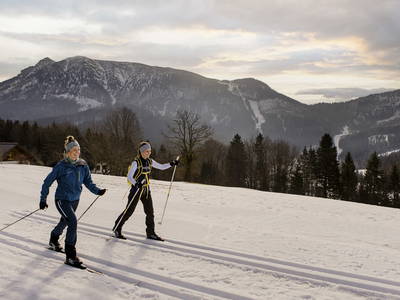 Bild 12 aus  Testhaus PZV NÖ