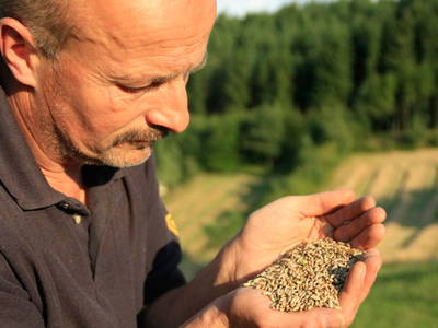 Bild 23 aus  Biohof Besenbäck