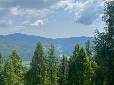 Bild 244 aus Neuwirth Hütte