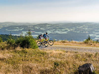 Bild 71 aus  Gut Pecketsberg