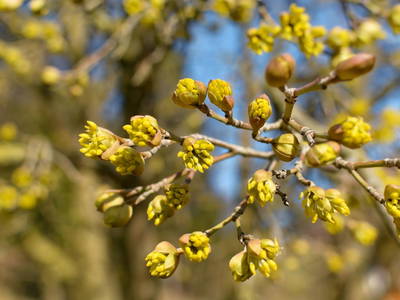 Bild 44 aus  Gesundheitsbauernhof