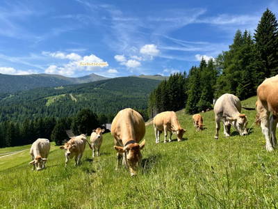 Bild 20 aus  Grosserhütte