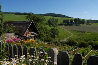 Ferien auf dem Jockenhof - Bild 1