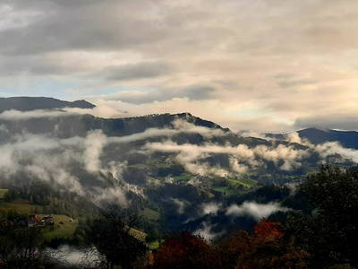 Bild 44 aus  Kleelehof