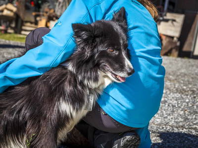 Bild 35 aus  Veitlbauer