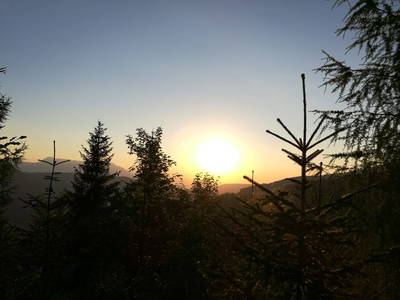 Bild 46 aus  Pfannreithof