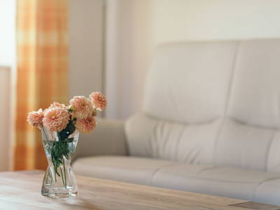 Bild 25 aus  Ferienwohnungen Mayrhofer