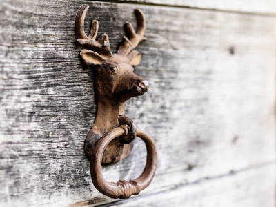 Bild 3 aus  Fohlenwies Hütte