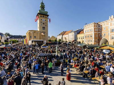 Bild 64 aus  Ferienhaus Weinviertel