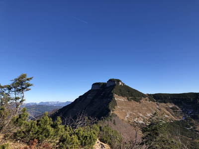 Bild 37 aus Testhof Salzburg